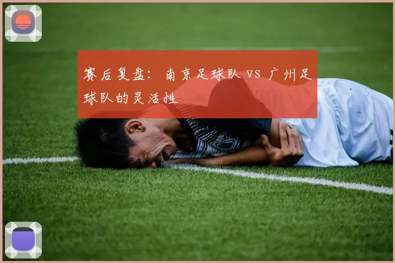 赛后复盘：南京足球队 vs 广州足球队的灵活性