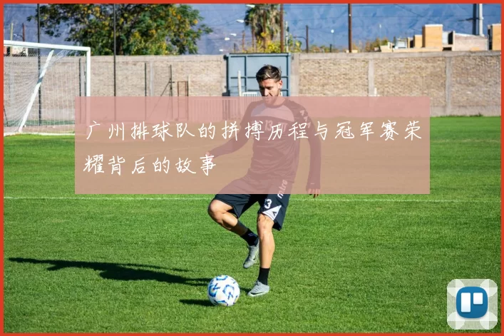 广州排球队的拼搏历程与冠军赛荣耀背后的故事