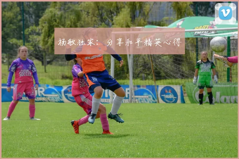 杨敏独家：分享和平精英心得
