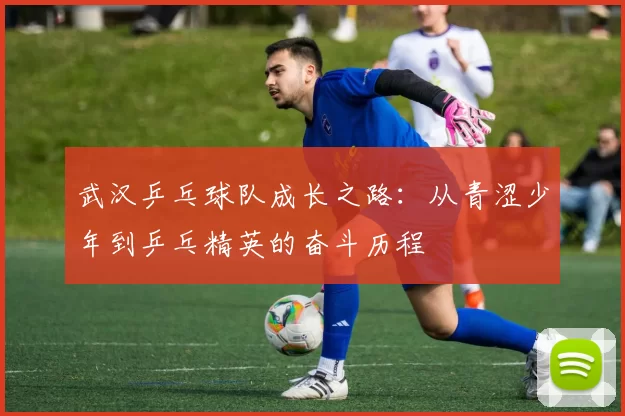 武汉乒乓球队成长之路：从青涩少年到乒乓精英的奋斗历程