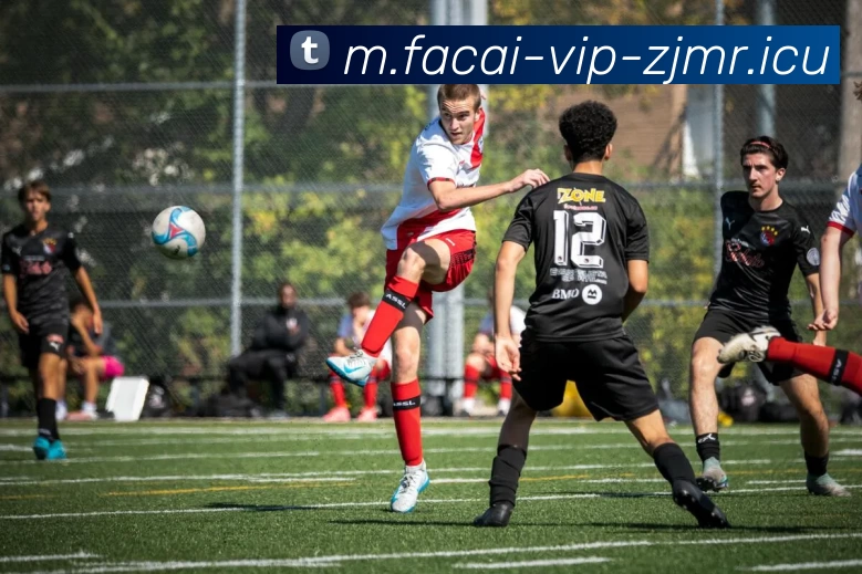 星空体育品牌故事