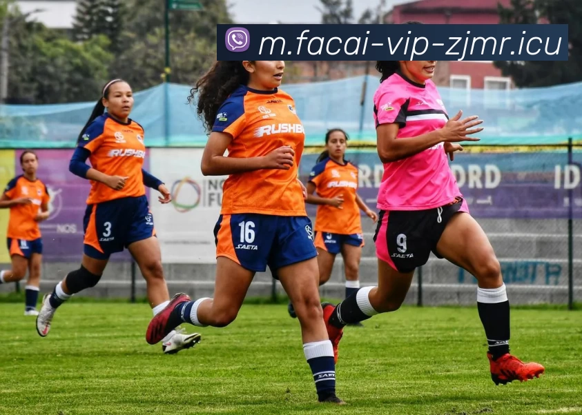 星空体育服务体系