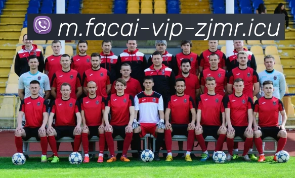 星空体育APP 体育赛事宣传图